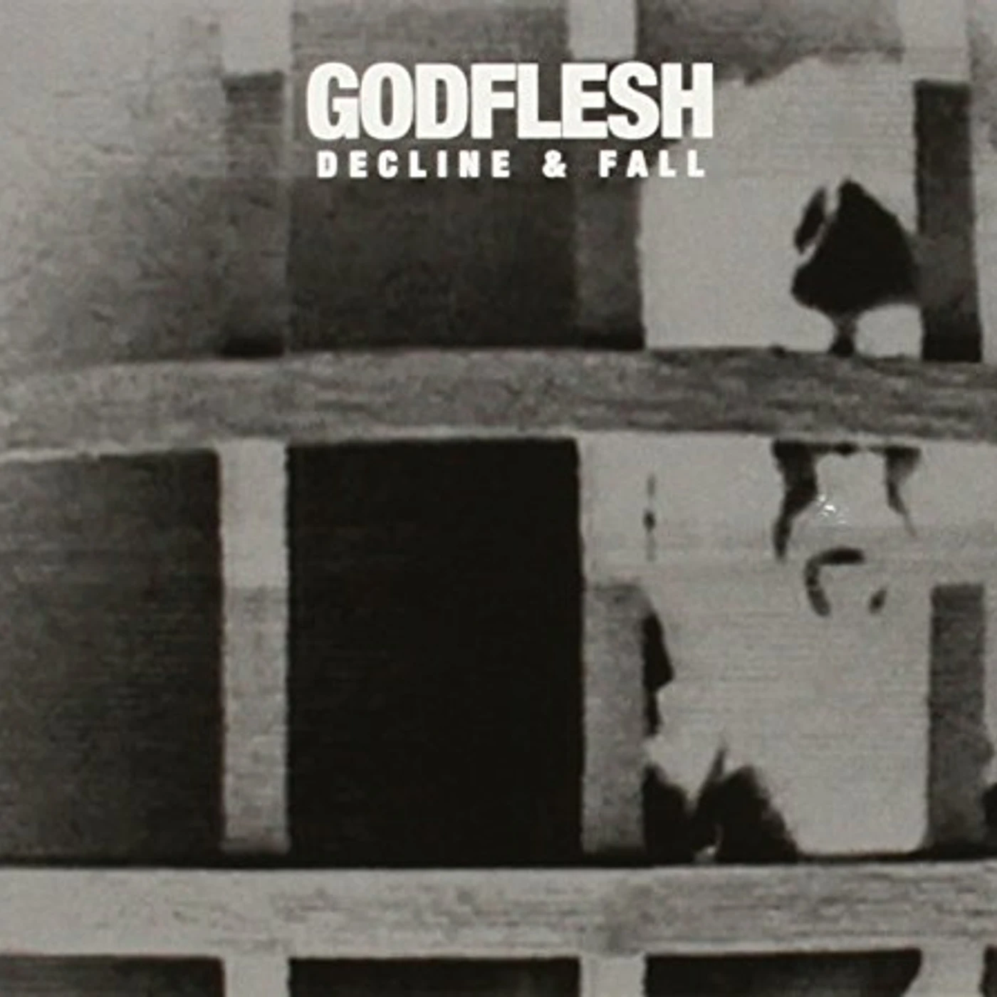 Godflesh DECLINE & FALL CD