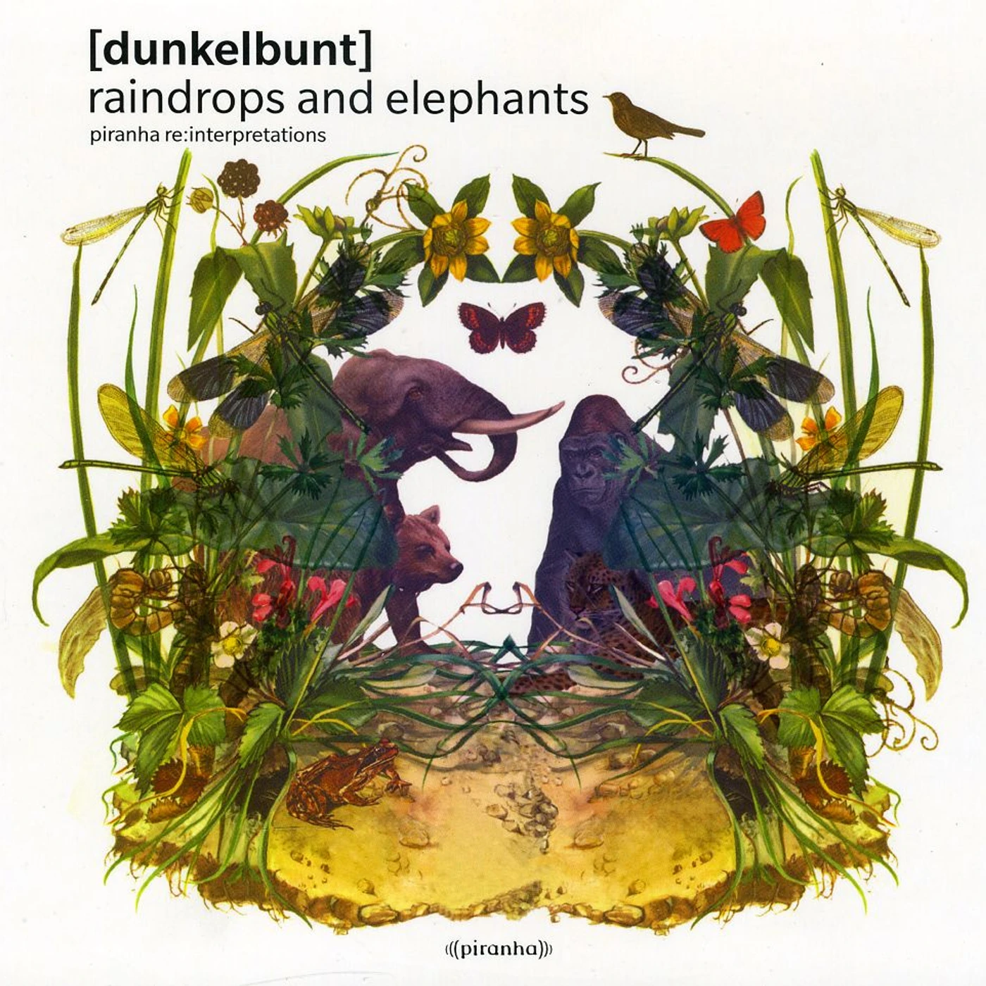 Dunkelbunt RAINDROPS & ELEPHANTS CD