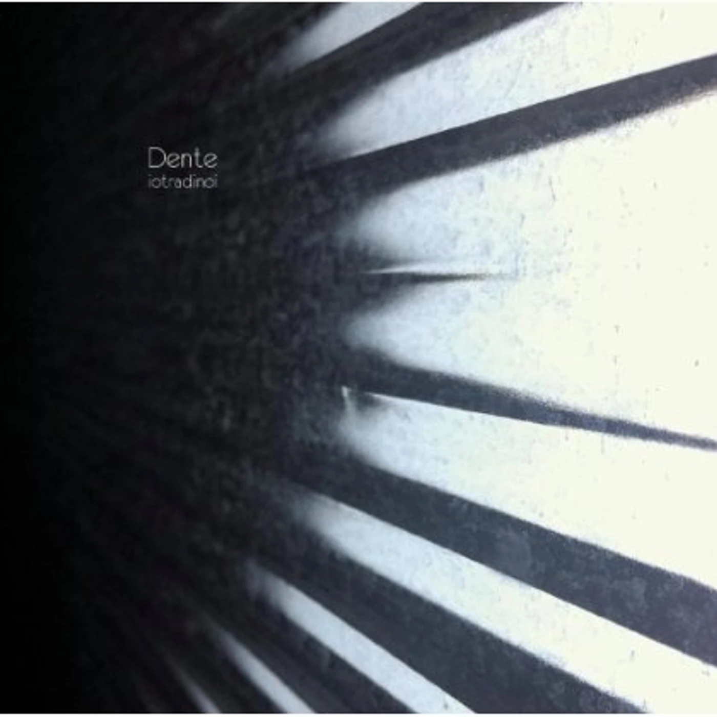 Dente IO TRA DI NOI CD