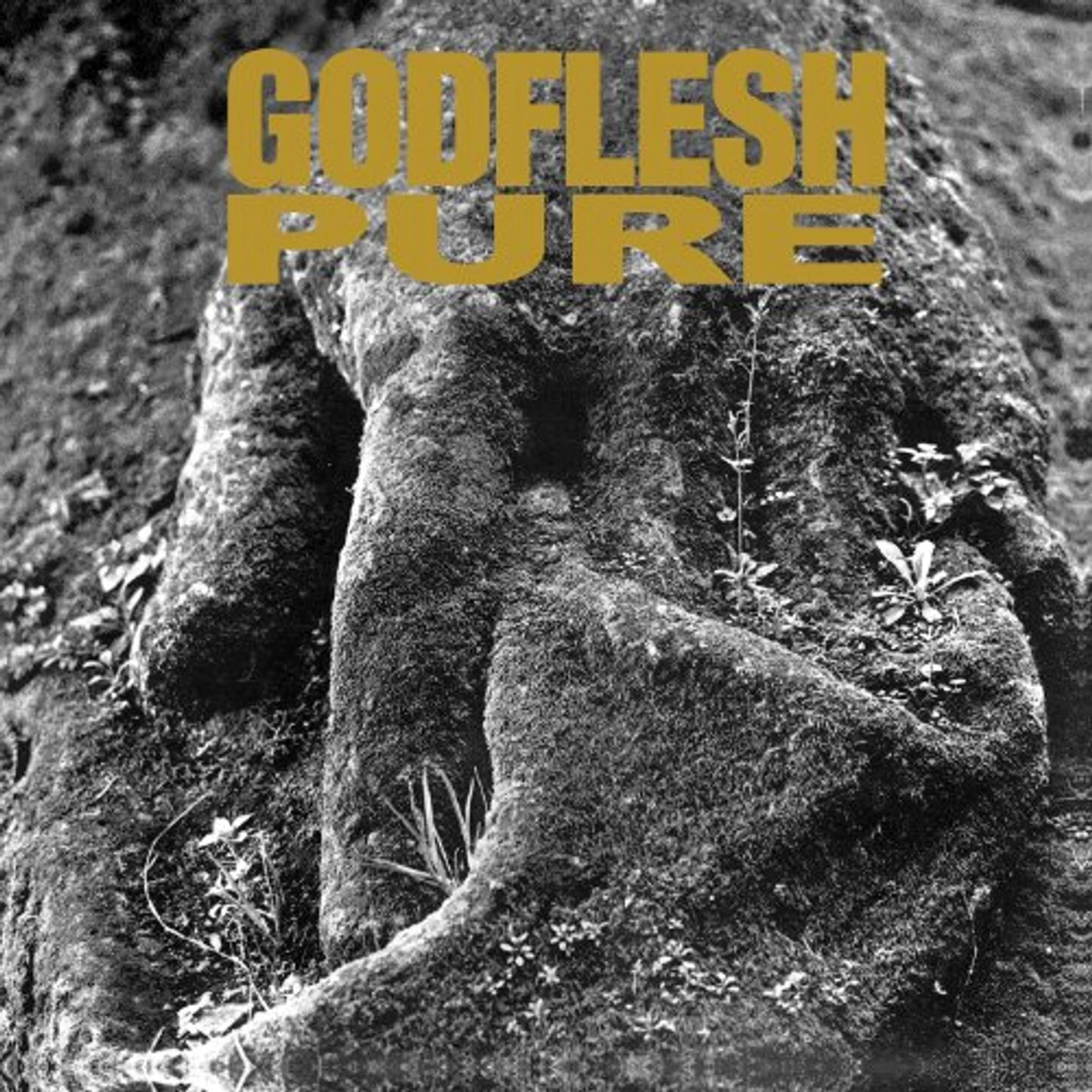 Godflesh Pure Vinyl Record