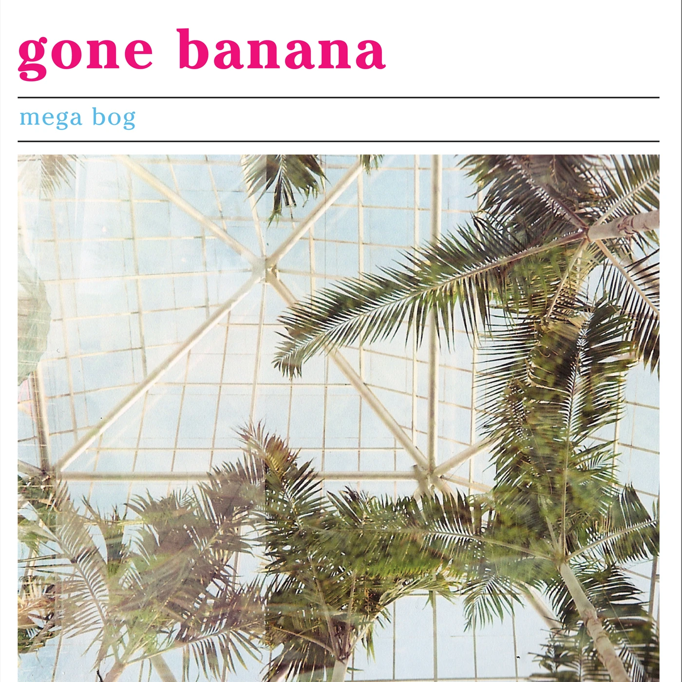 Mega Bog Gone Banana Vinyl Record