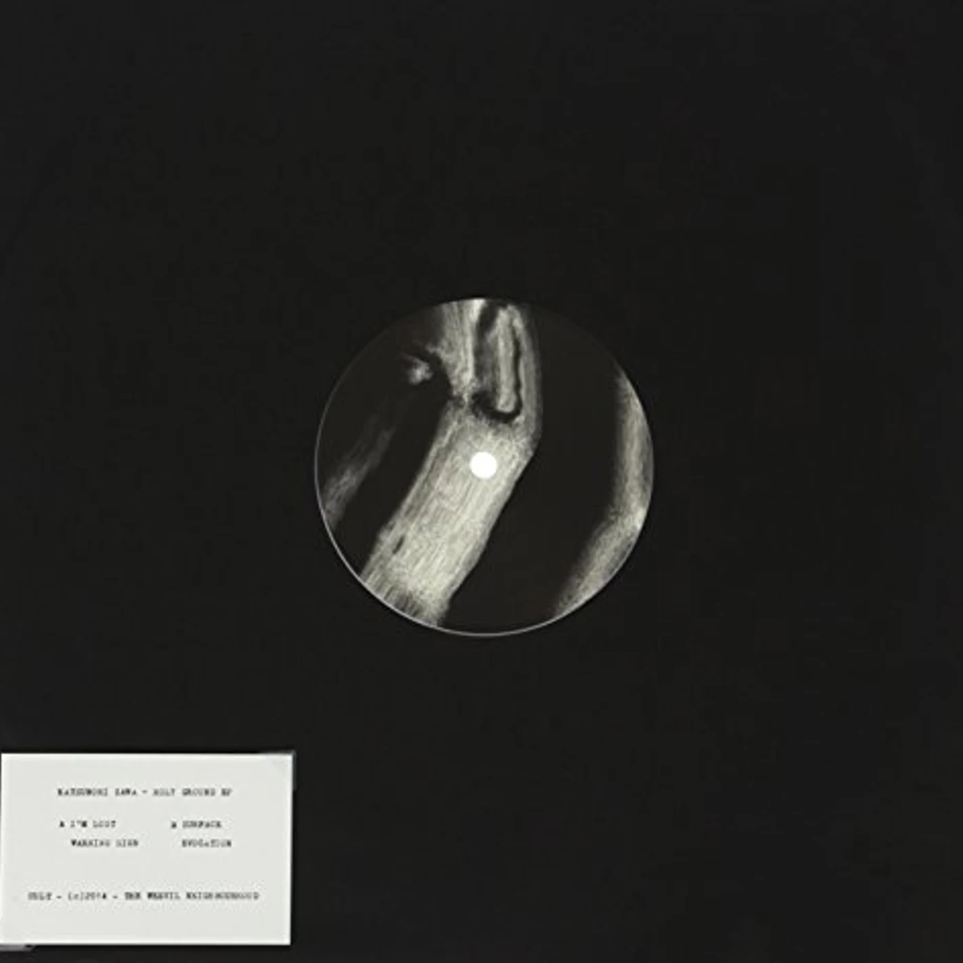 Katsunori Sawa HOLY GROUND Vinyl Record