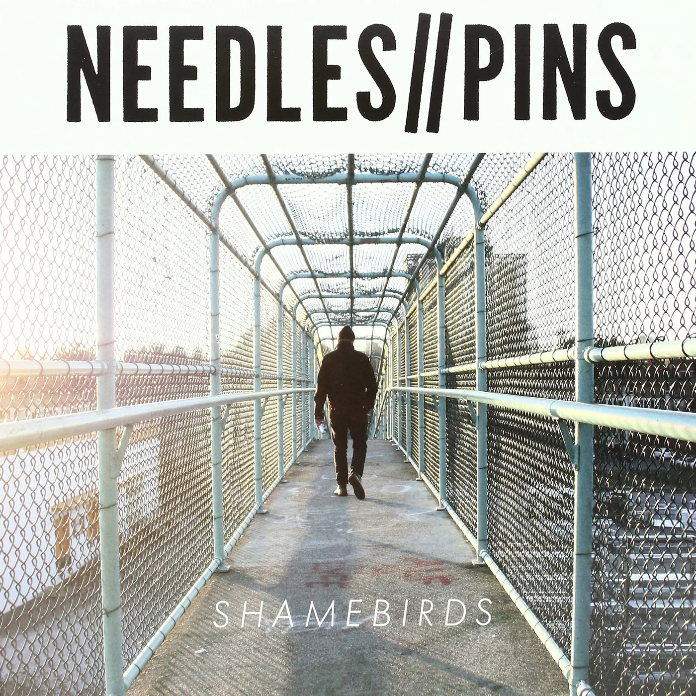 Needles//Pins Shamebirds Vinyl Record