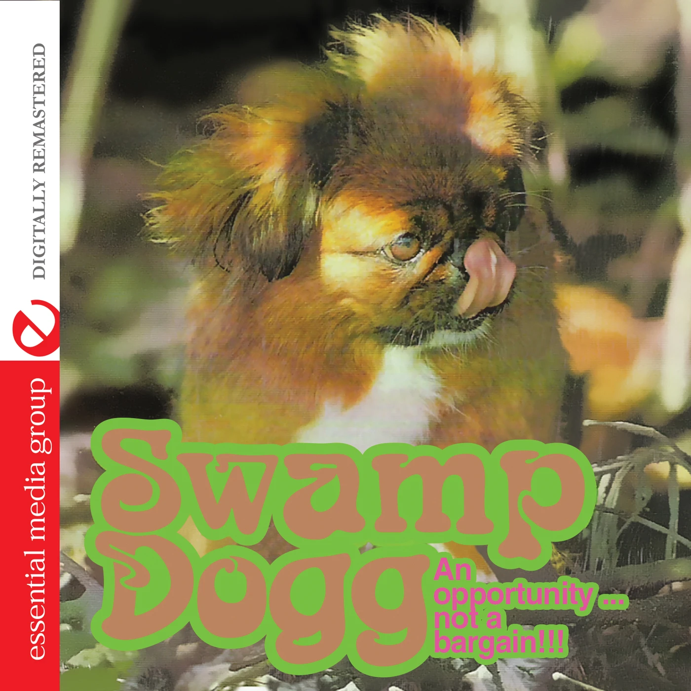 Swamp Dogg AN OPPORTUNITY NOT A BARGAIN CD