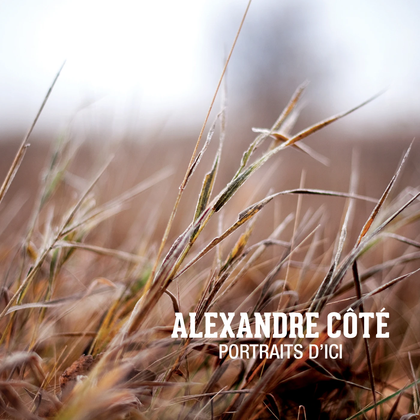 Alexandre Cote PORTRAITS D'ICI CD