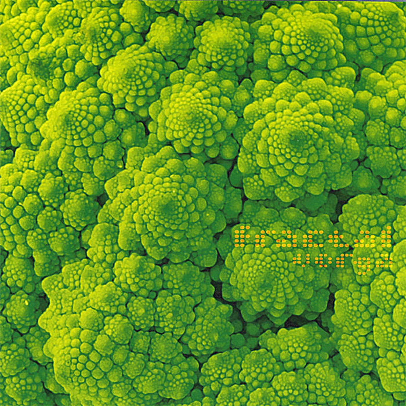 Vorga FRACTAL CD
