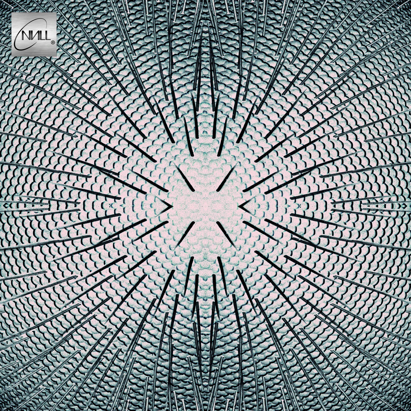 Null Almost Vinyl Record