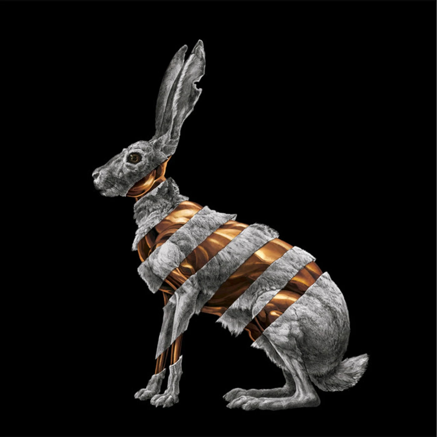 San Fermin Jackrabbit Vinyl Record