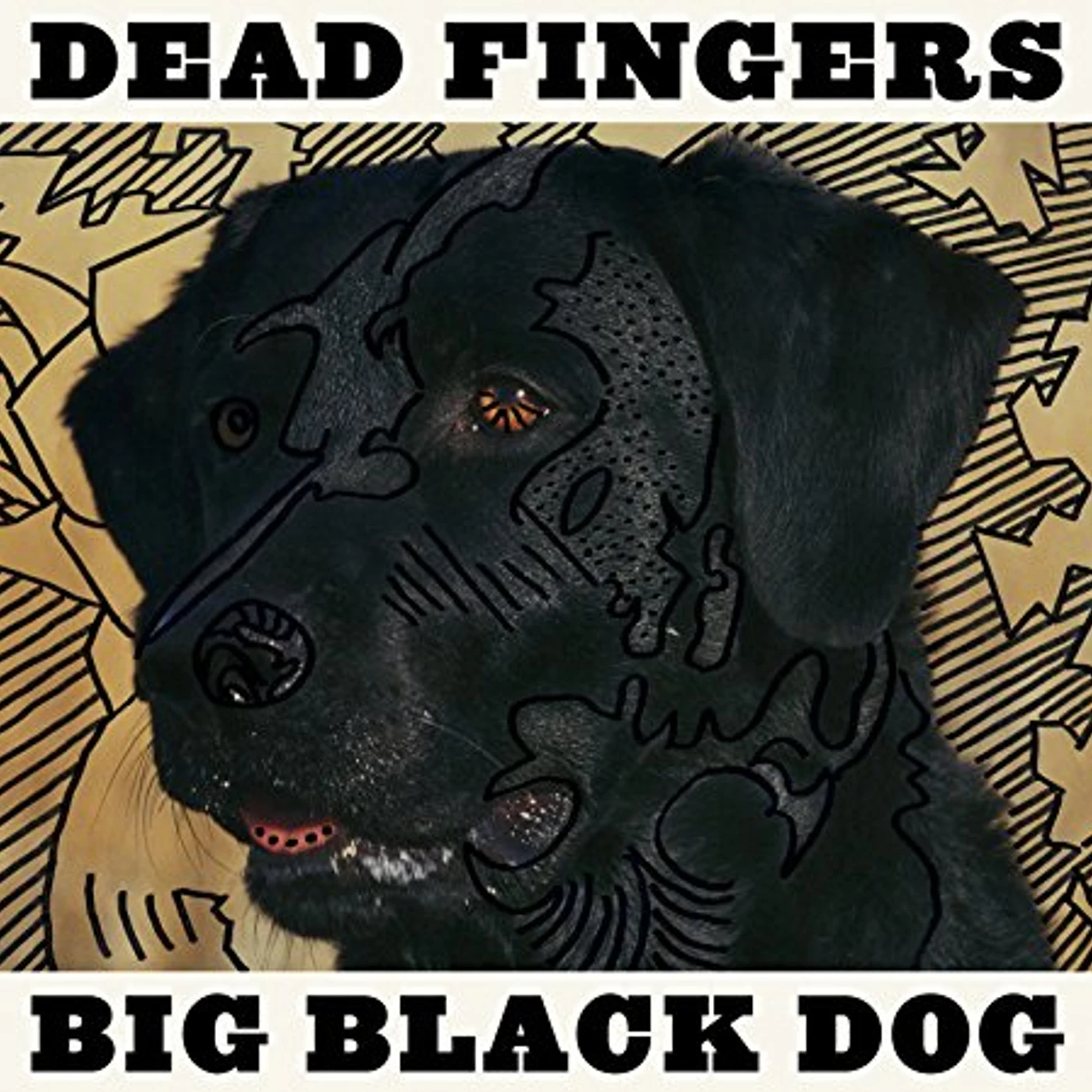 Dead Fingers Big Black Dog Vinyl Record