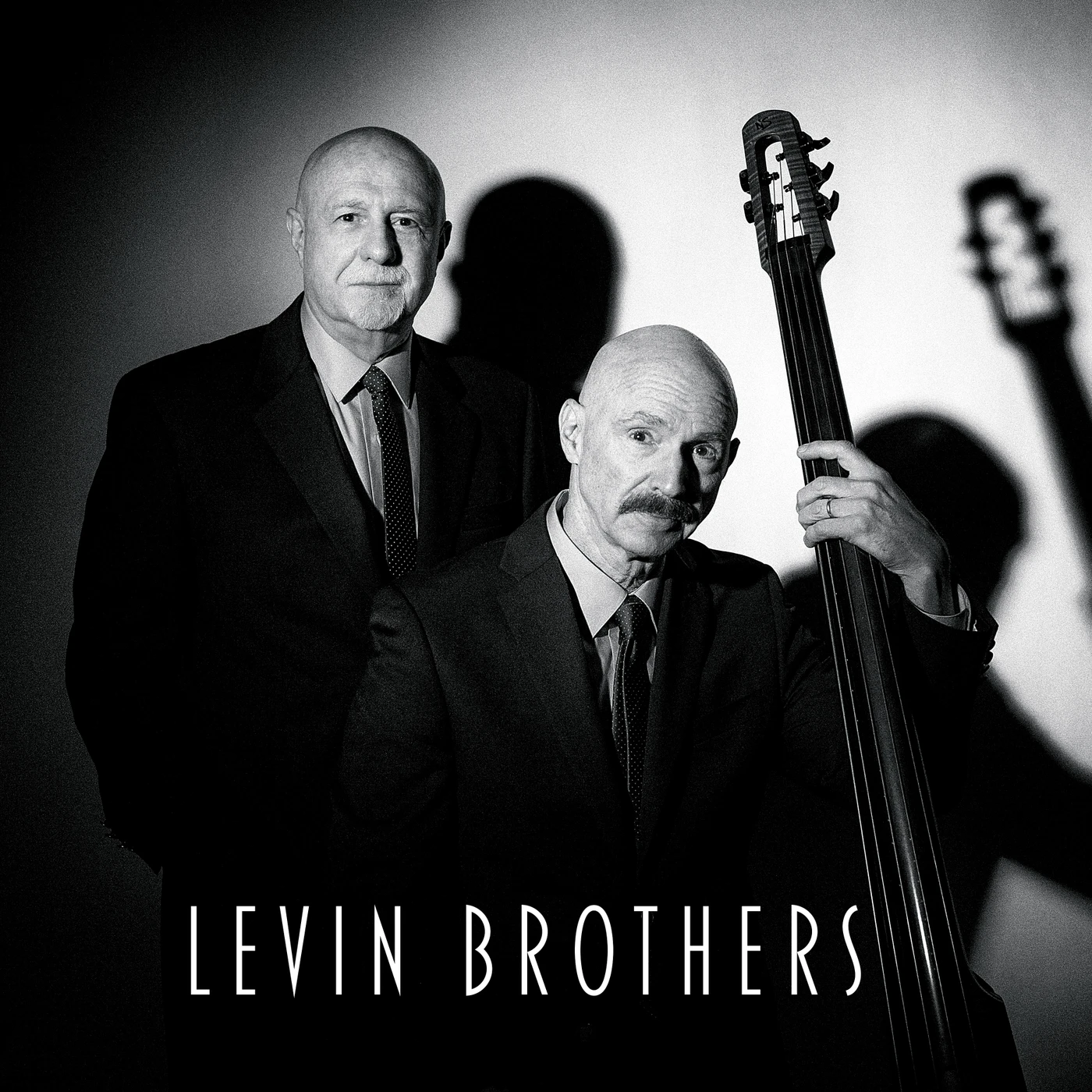 Levin Brothers Vinyl Record