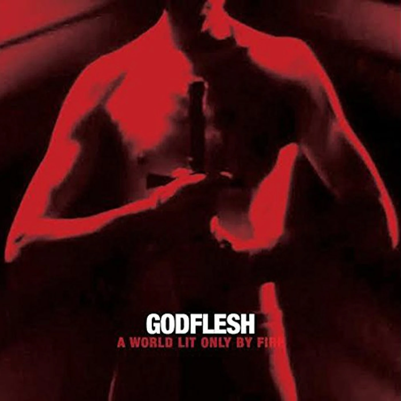Godflesh WORLD LIT ONLY BY FIRE Vinyl Record