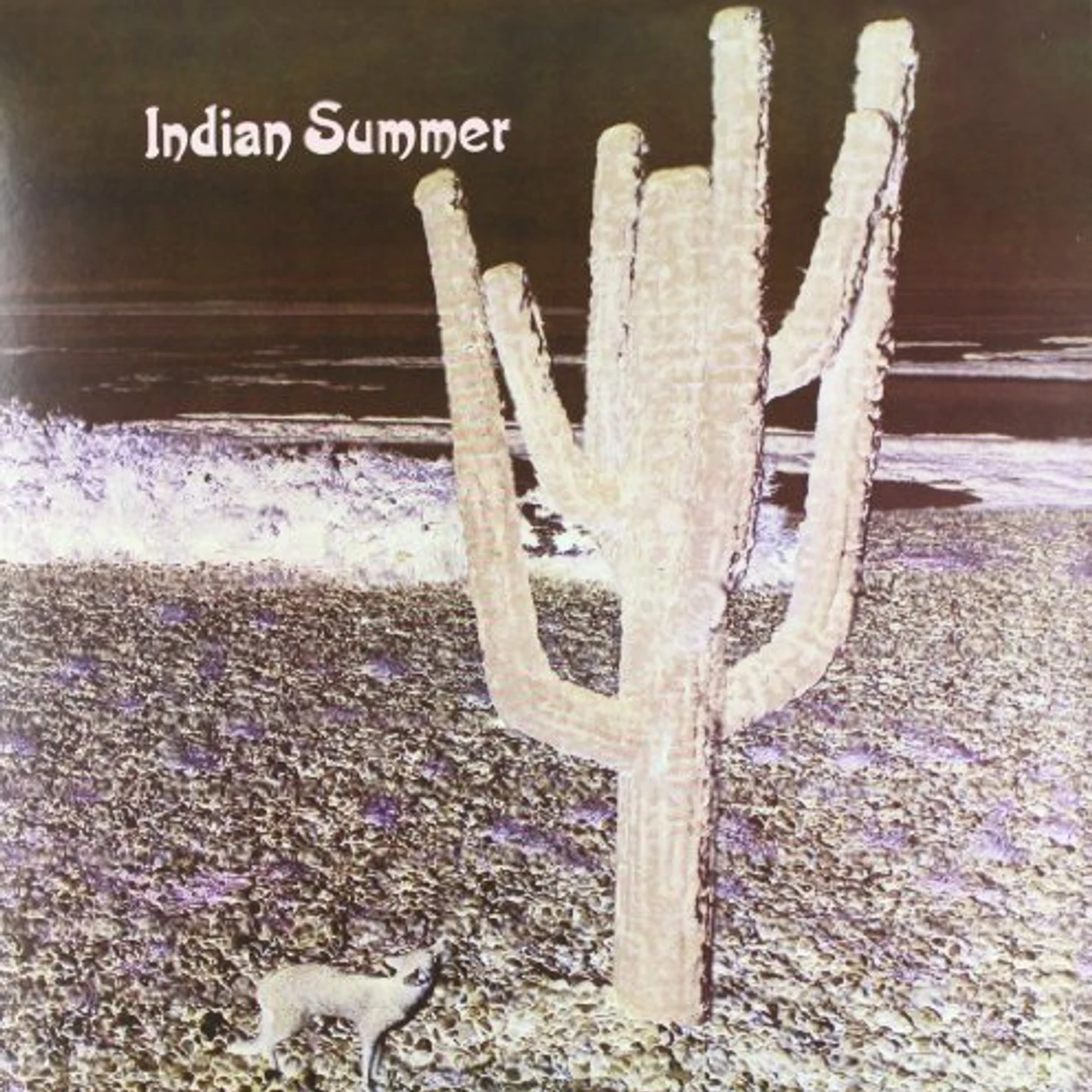 Indian Summer Vinyl Record