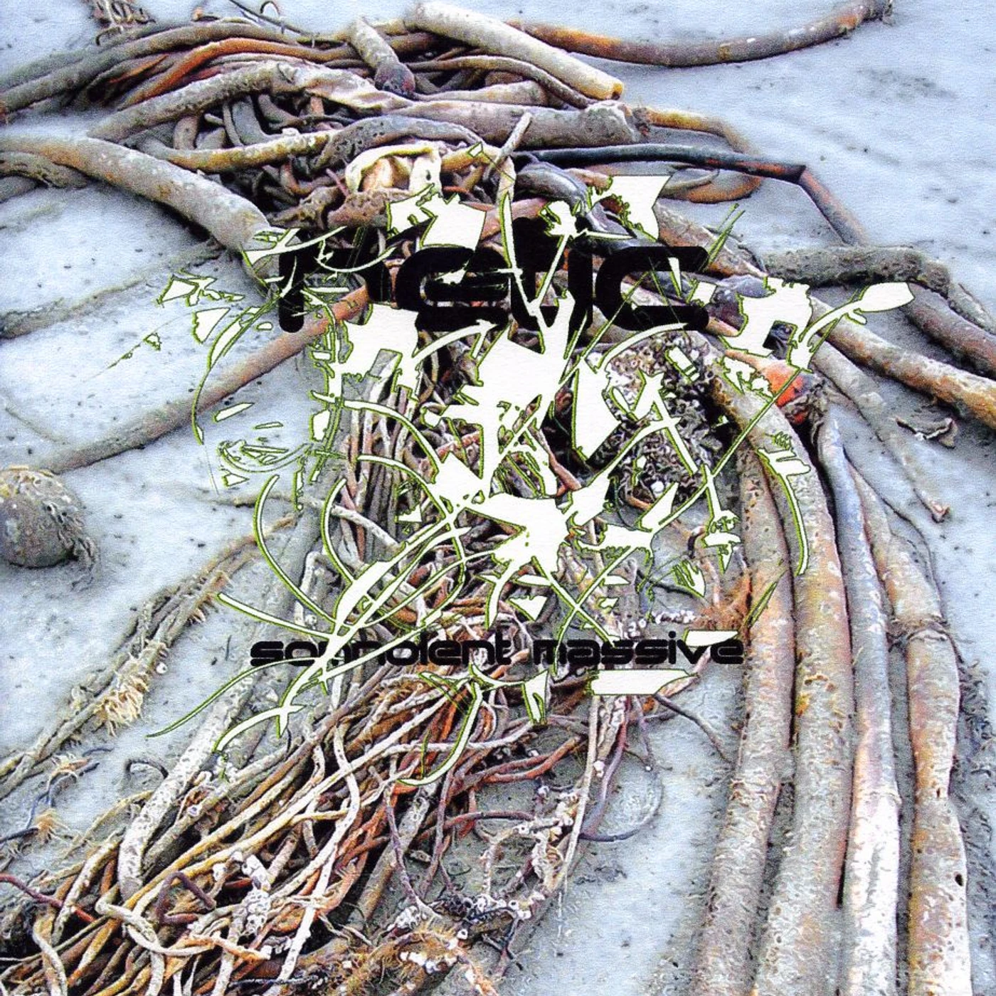Retic SOMNOLENT MASSIVE CD