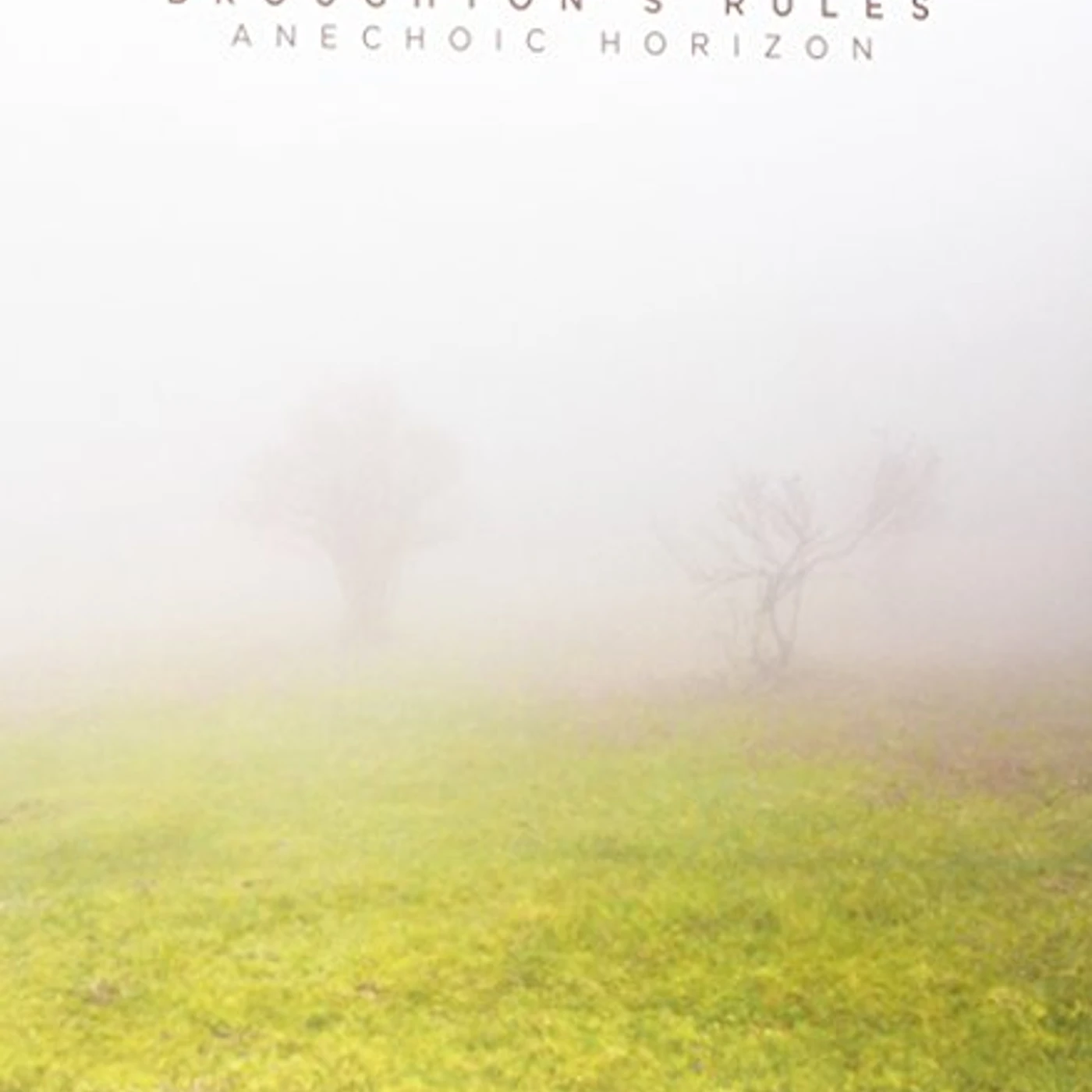 Broughton's Rules Anechoic Horizon Vinyl Record