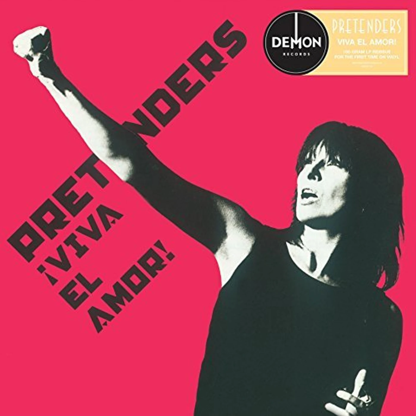 Pretenders Viva El Amor Vinyl Record
