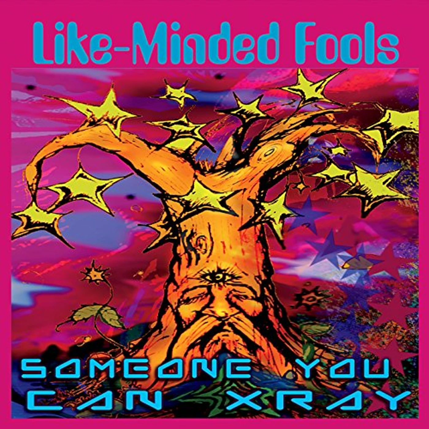 Someone You Can Xray LIKE-MINDED FOOLS CD