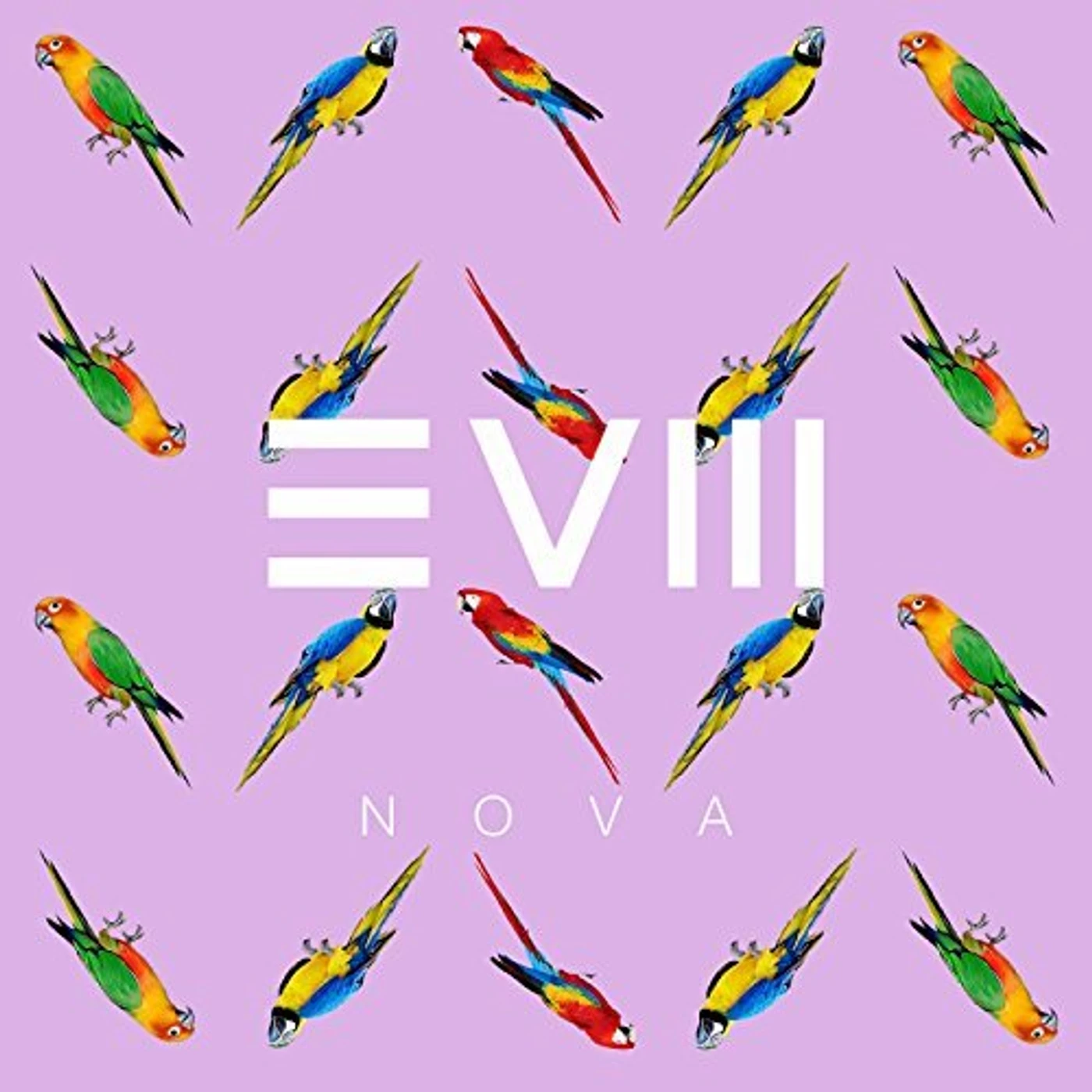 EVM128 Nova Vinyl Record
