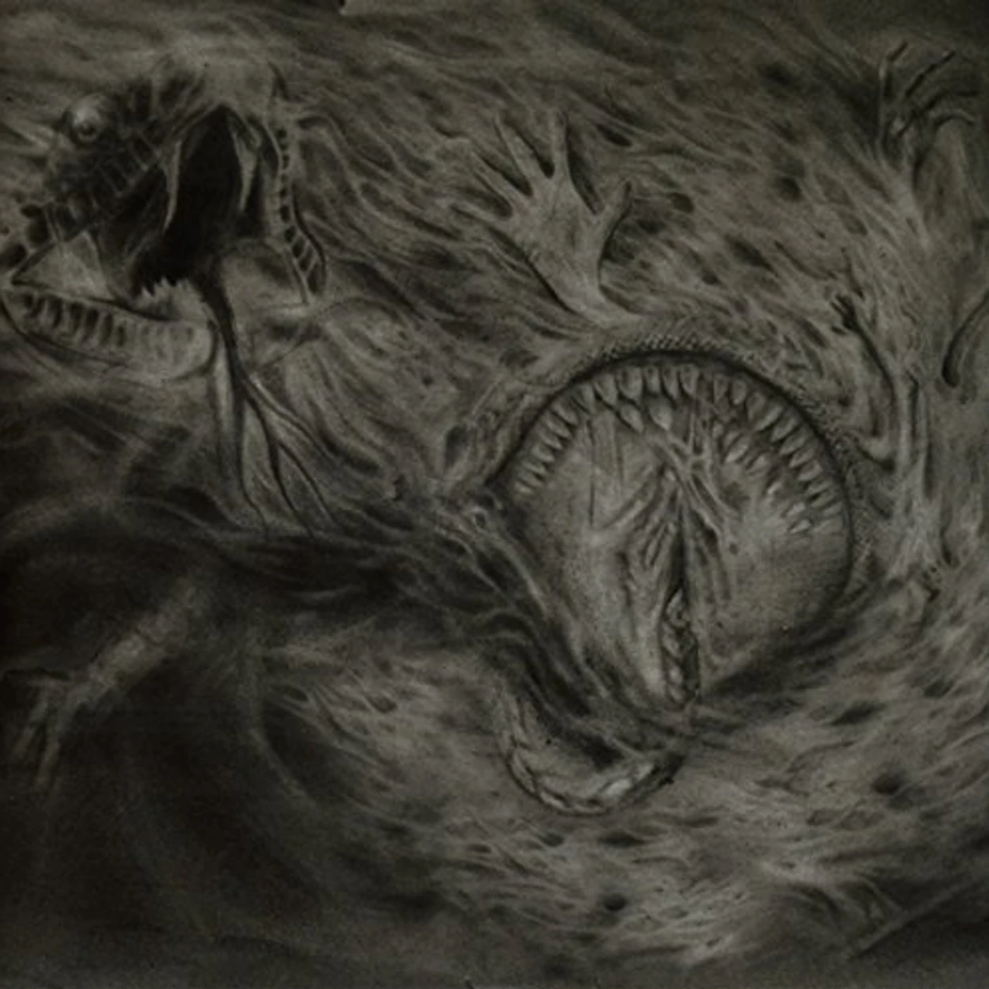 Nidsang Into the Womb of Dissolving Flames Vinyl Record