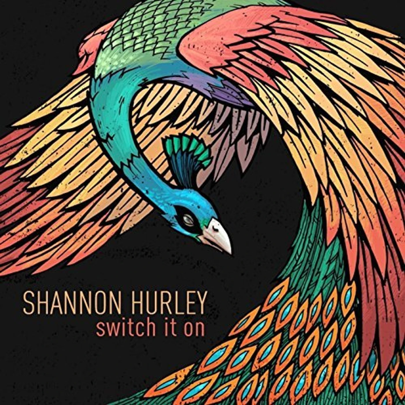 Shannon Hurley SWITCH IT ON CD