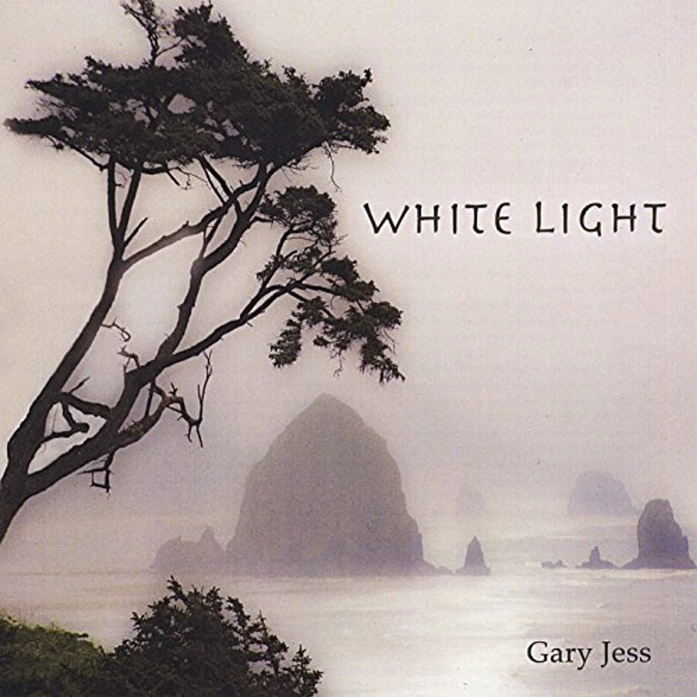 Gary Jess WHITE LIGHT CD