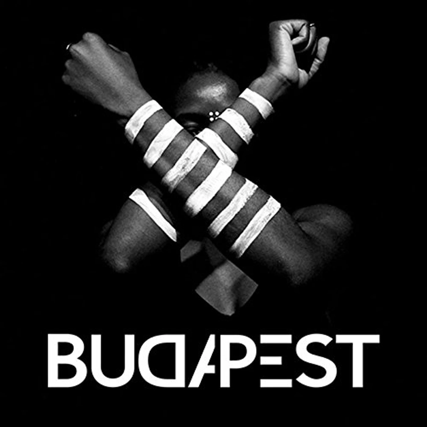 Budapest Alcaline Vinyl Record