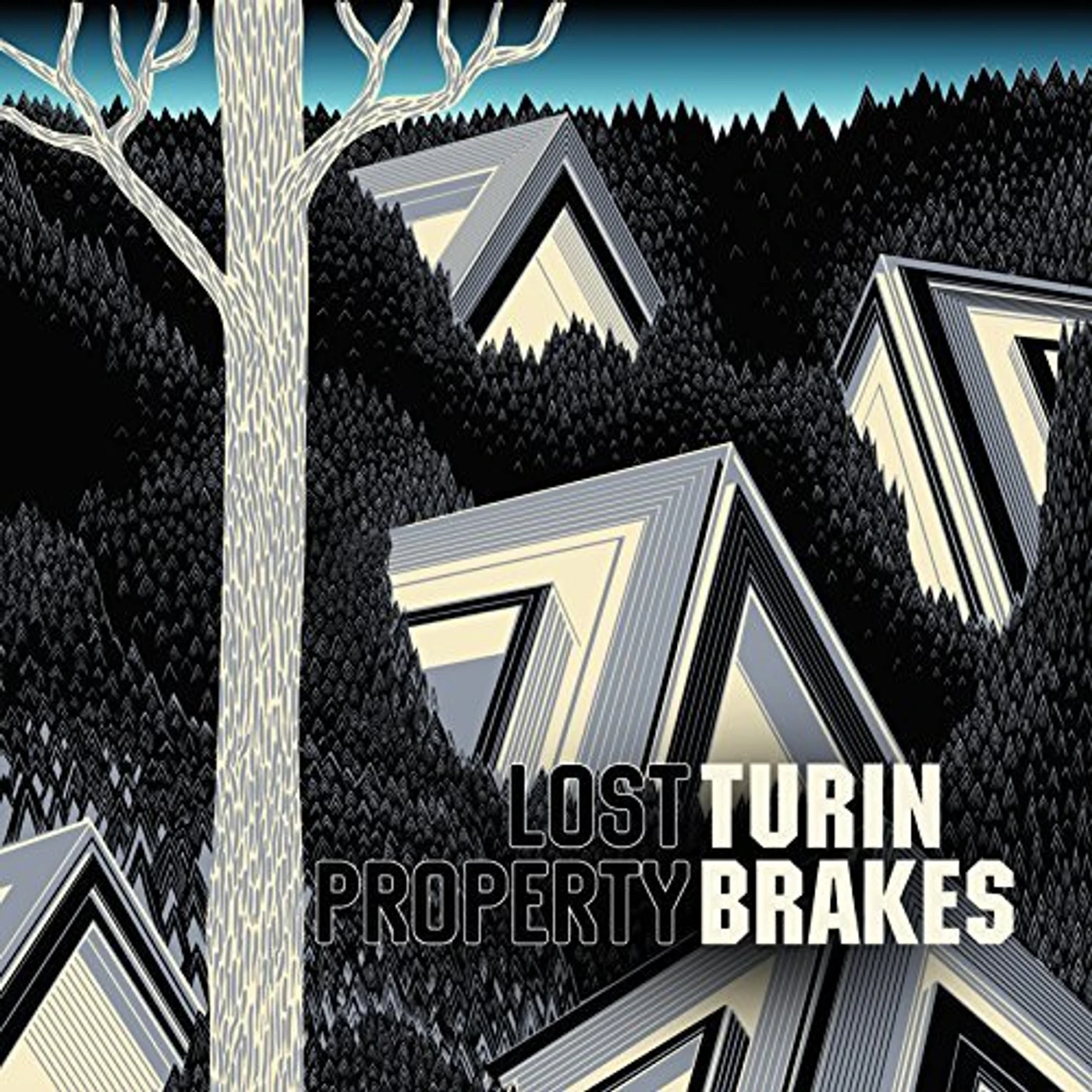 Turin Brakes Lost Property Vinyl Record