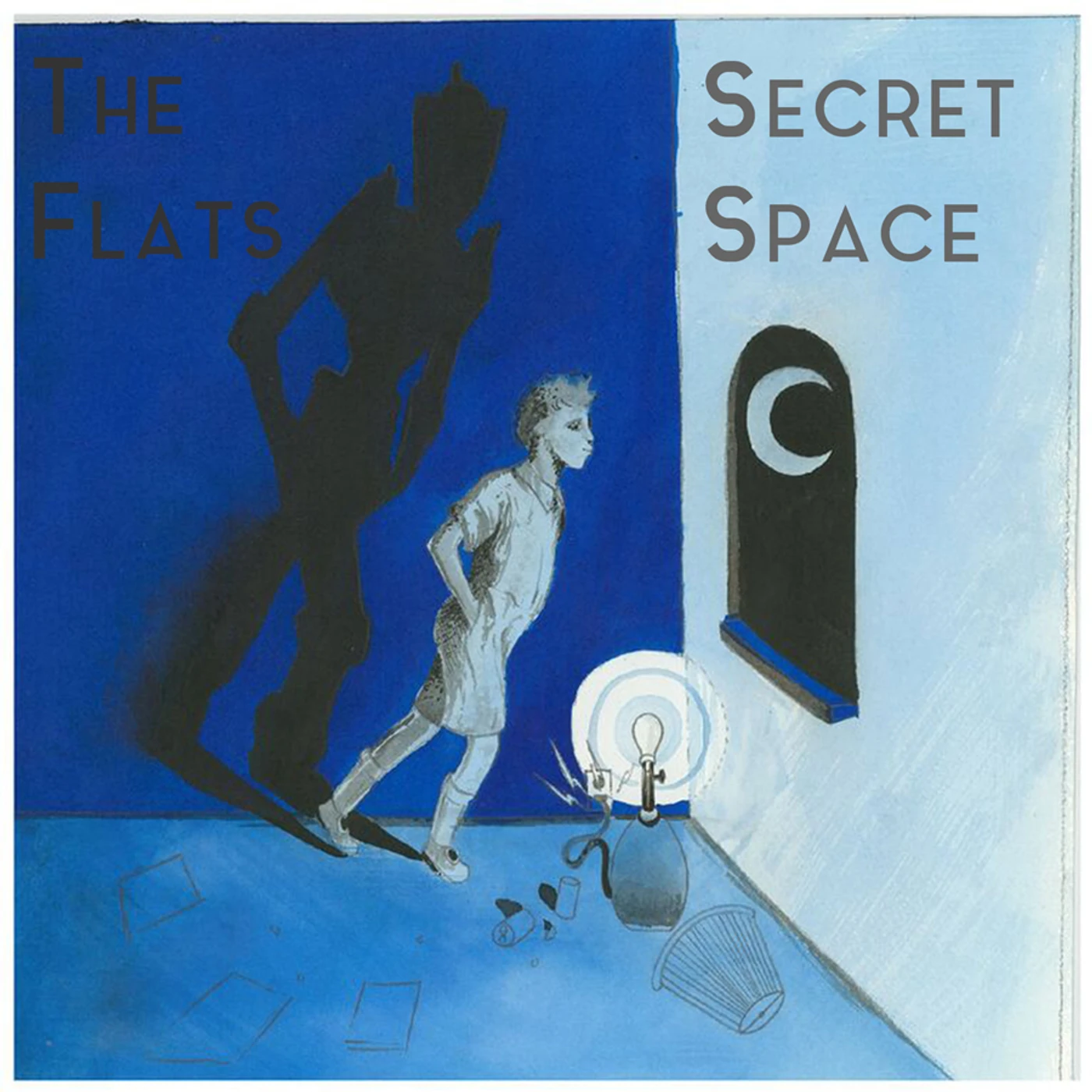 Secret Space / The Flats SPLIT Vinyl Record