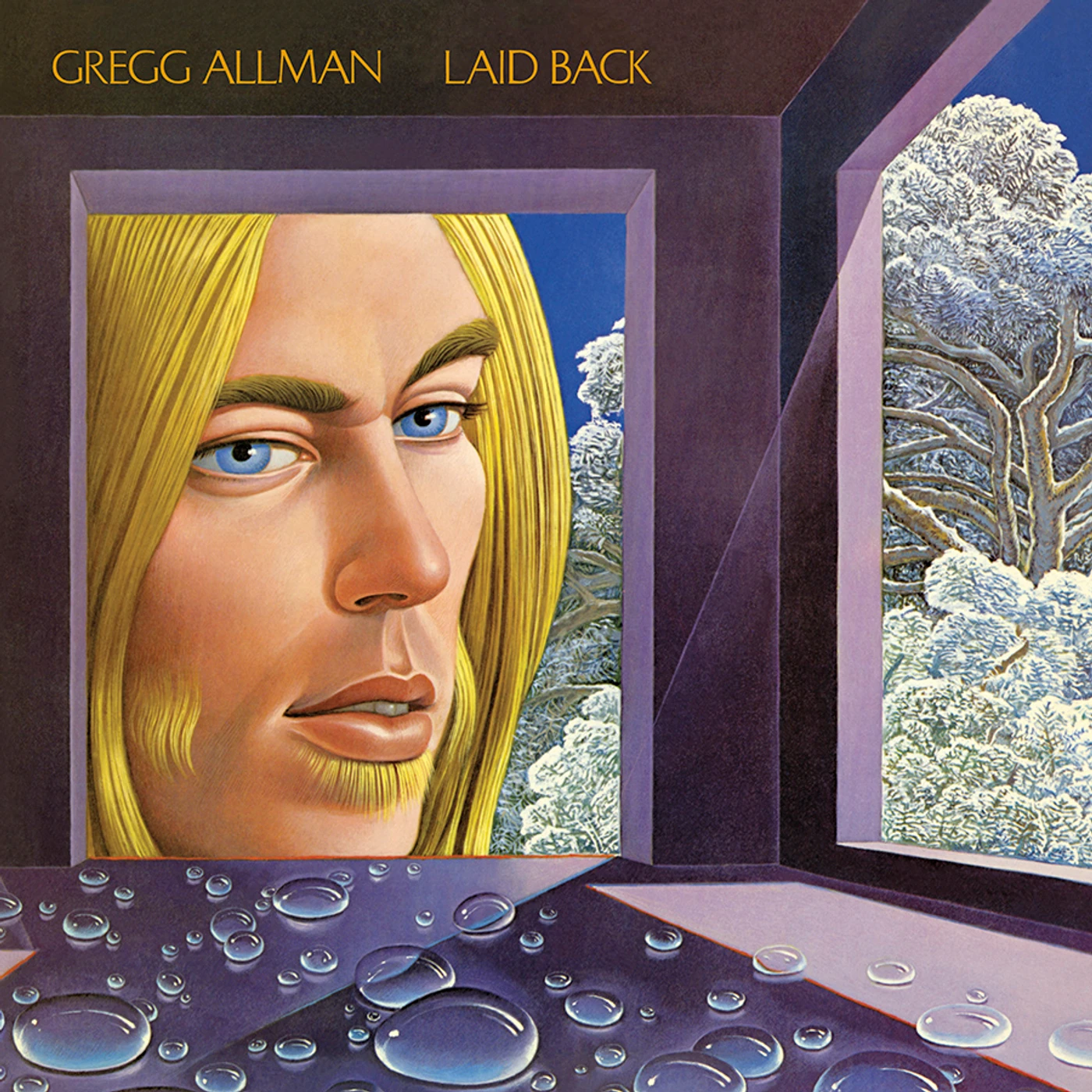 Gregg Allman Laid Back Vinyl Record