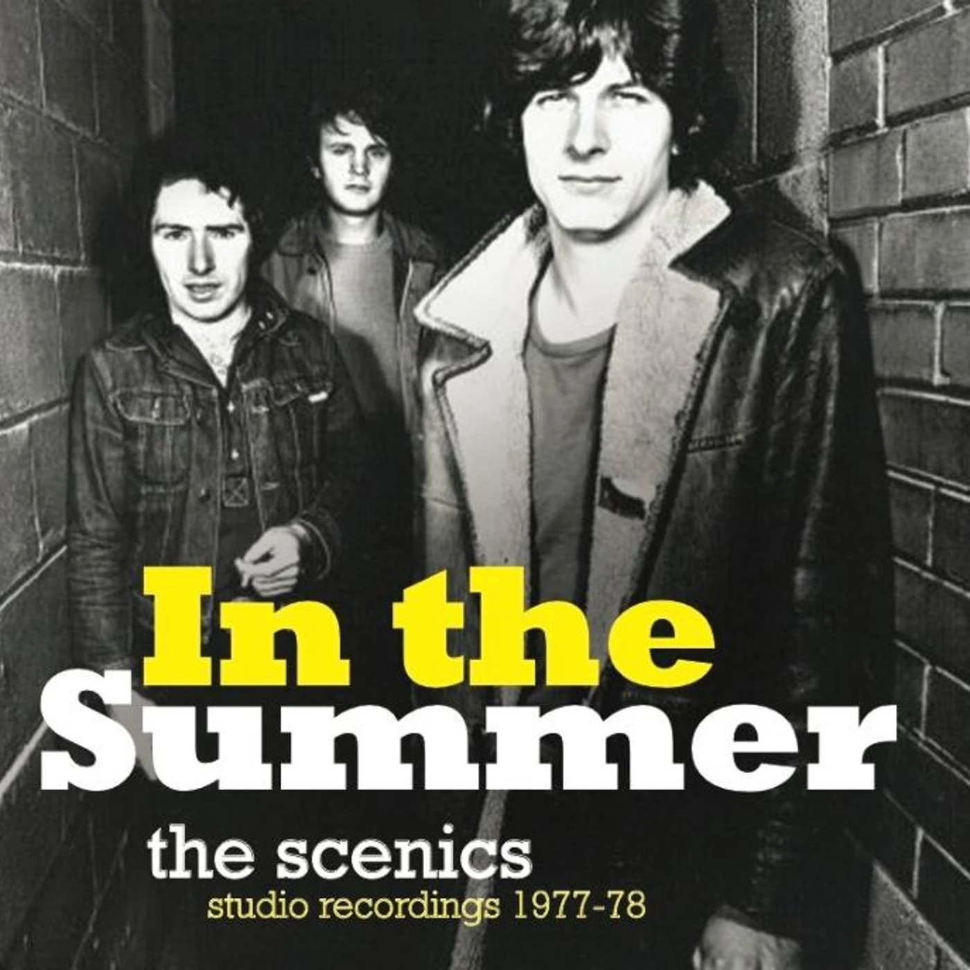 The Scenics IN THE SUMMER: STUDIO RECORDINGS 1977/78 Vinyl Record