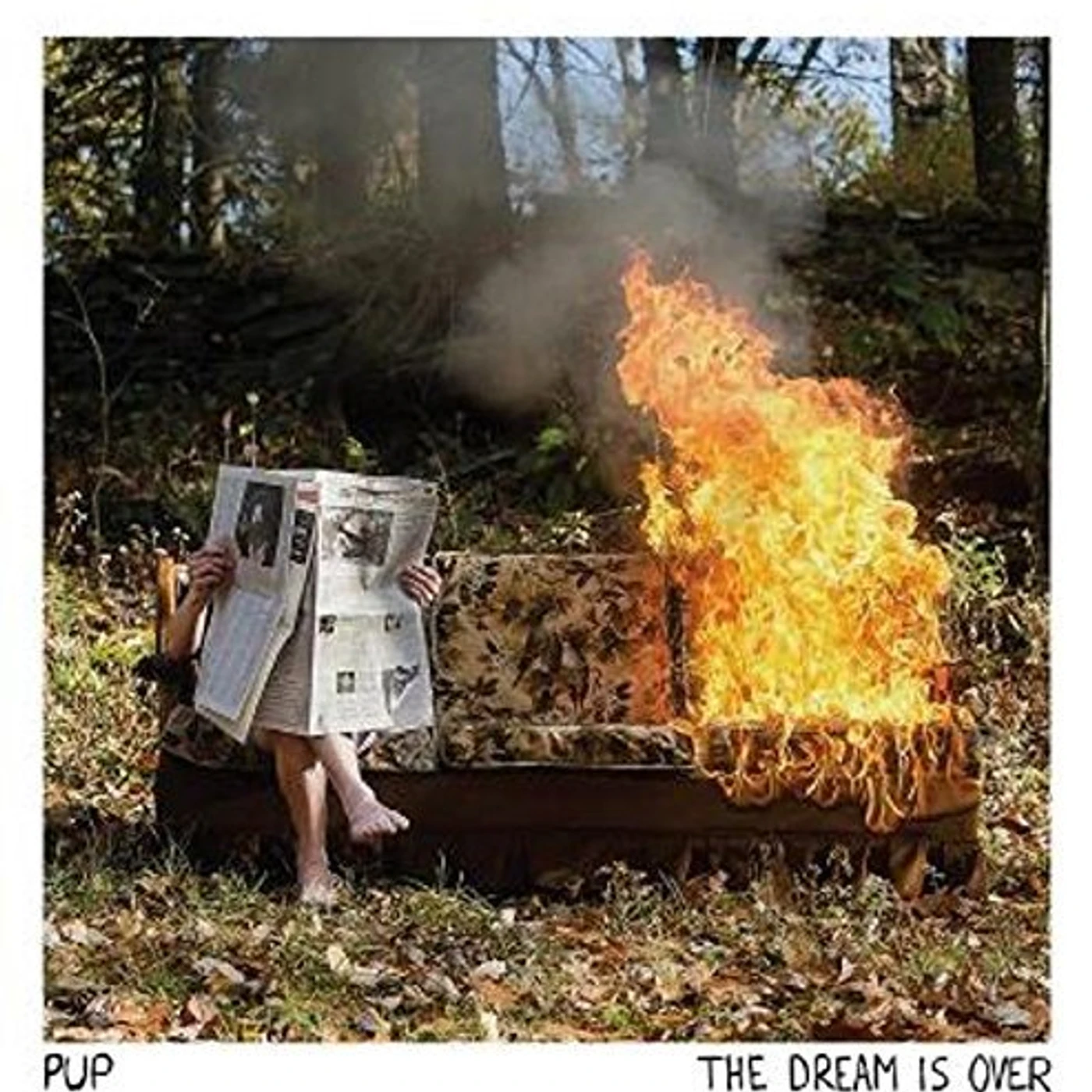 PUP DREAM IS OVER CD