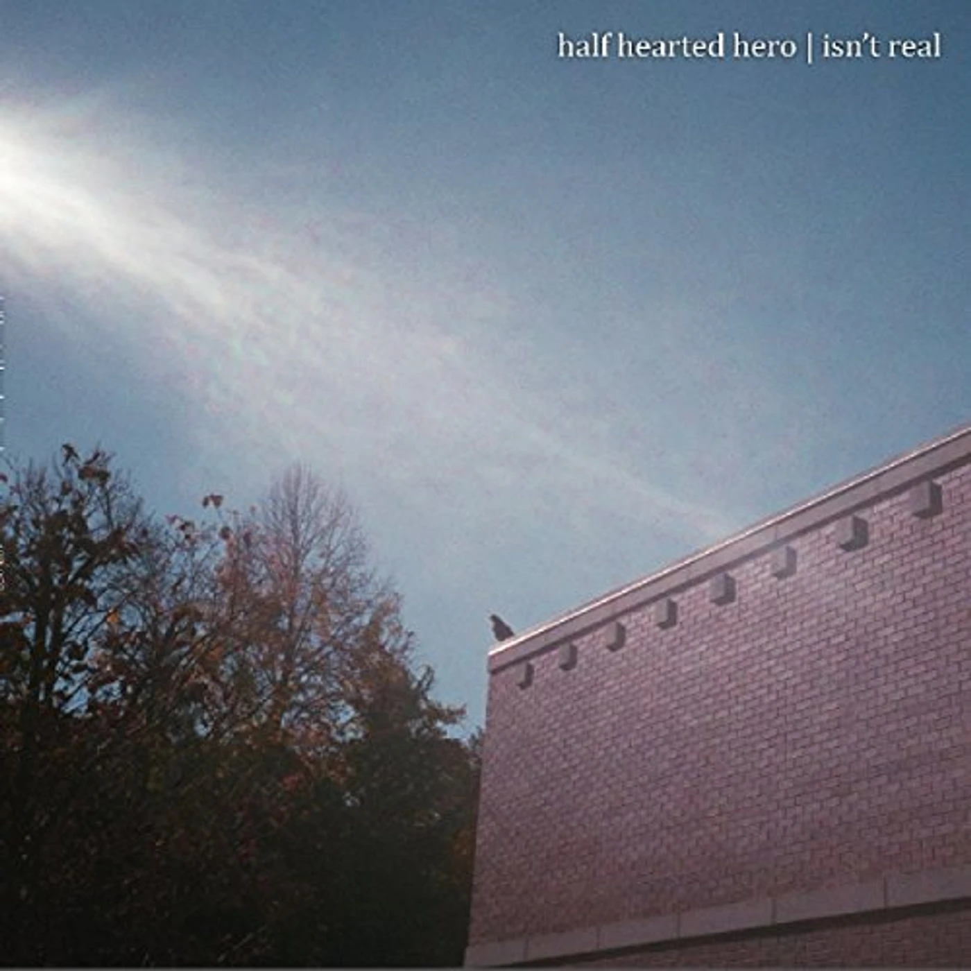 Half Hearted Hero Isn't Real Vinyl Record