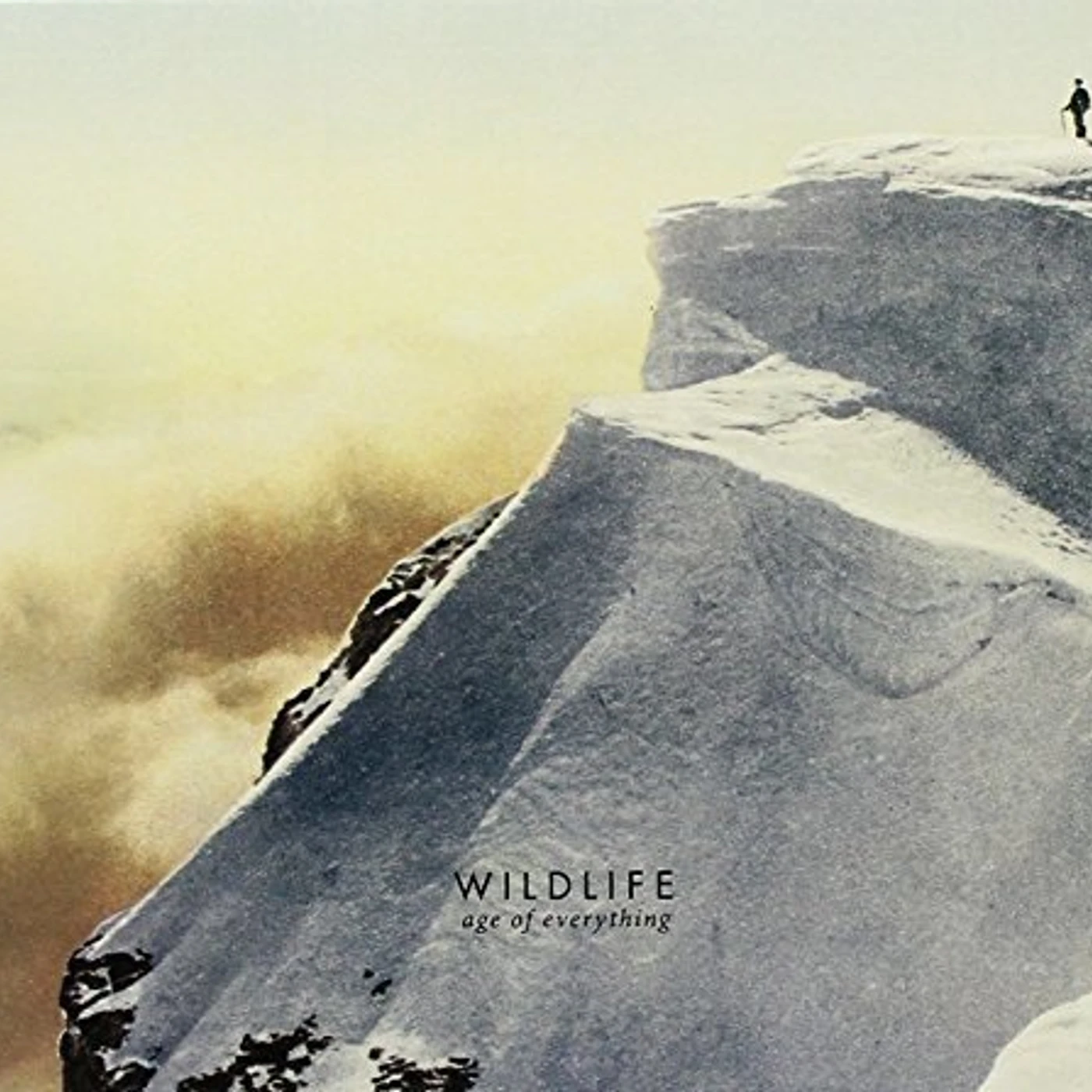 Wildlife Age Of Everything Vinyl Record