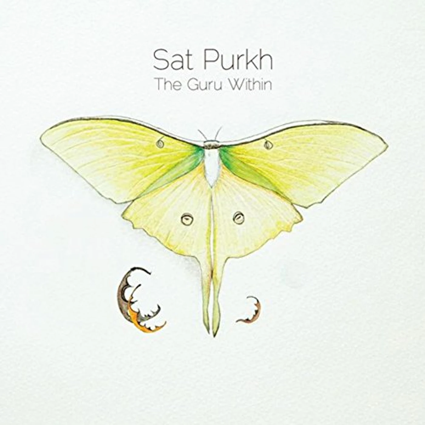 Sat Purkh GURU WITHIN CD