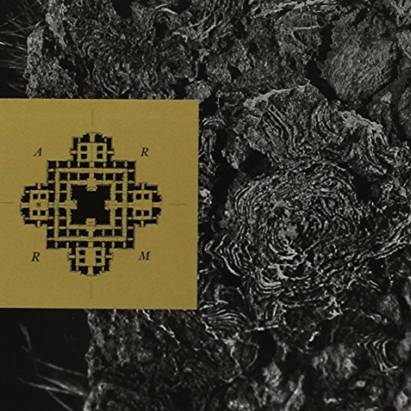 ARRM CD