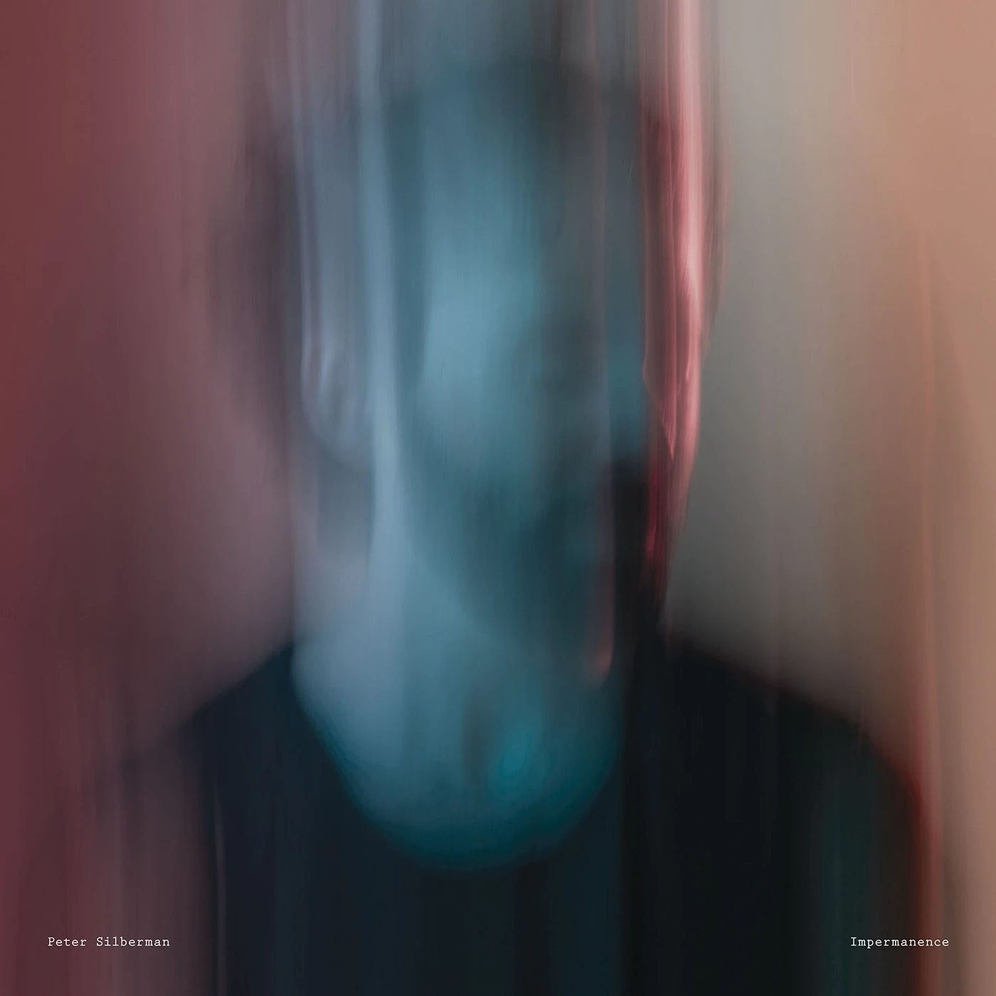 Peter Silberman Impermanence Vinyl Record