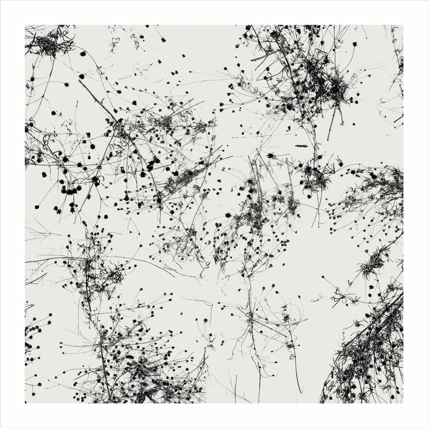Taylor Deupree SOMI CD