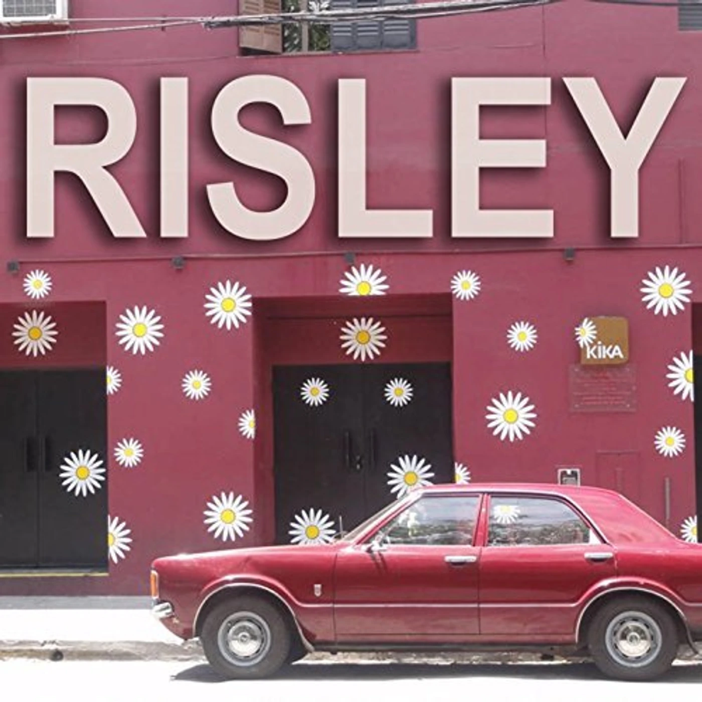 RISLEY CD