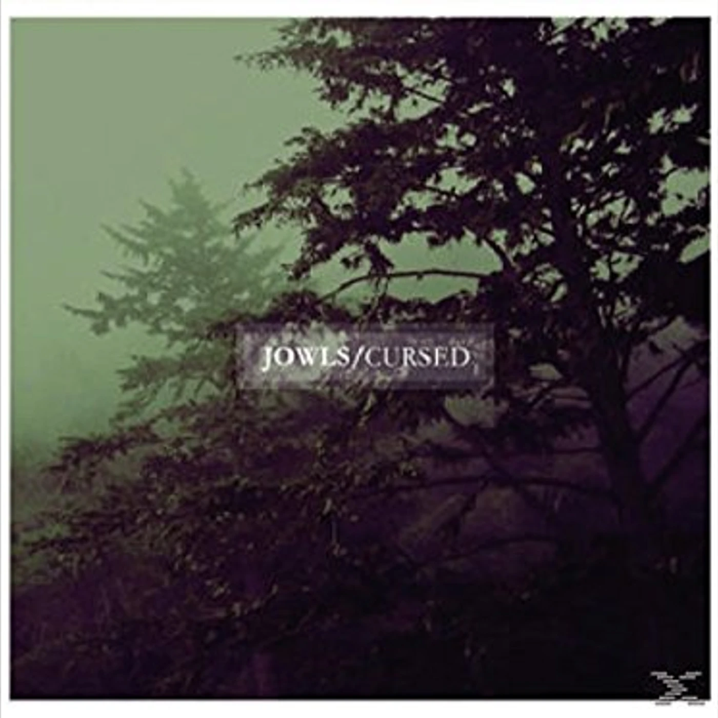 Jowls Cursed Vinyl Record