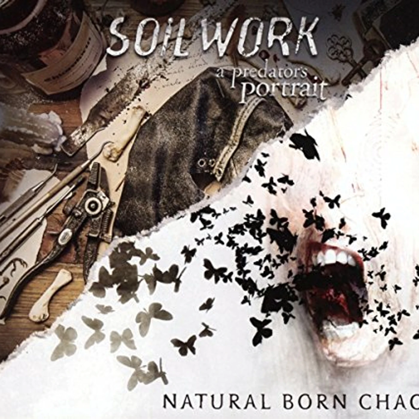 Soilwork PREDATOR'S PORTRAIT: NATURAL BORN CHAOS CD