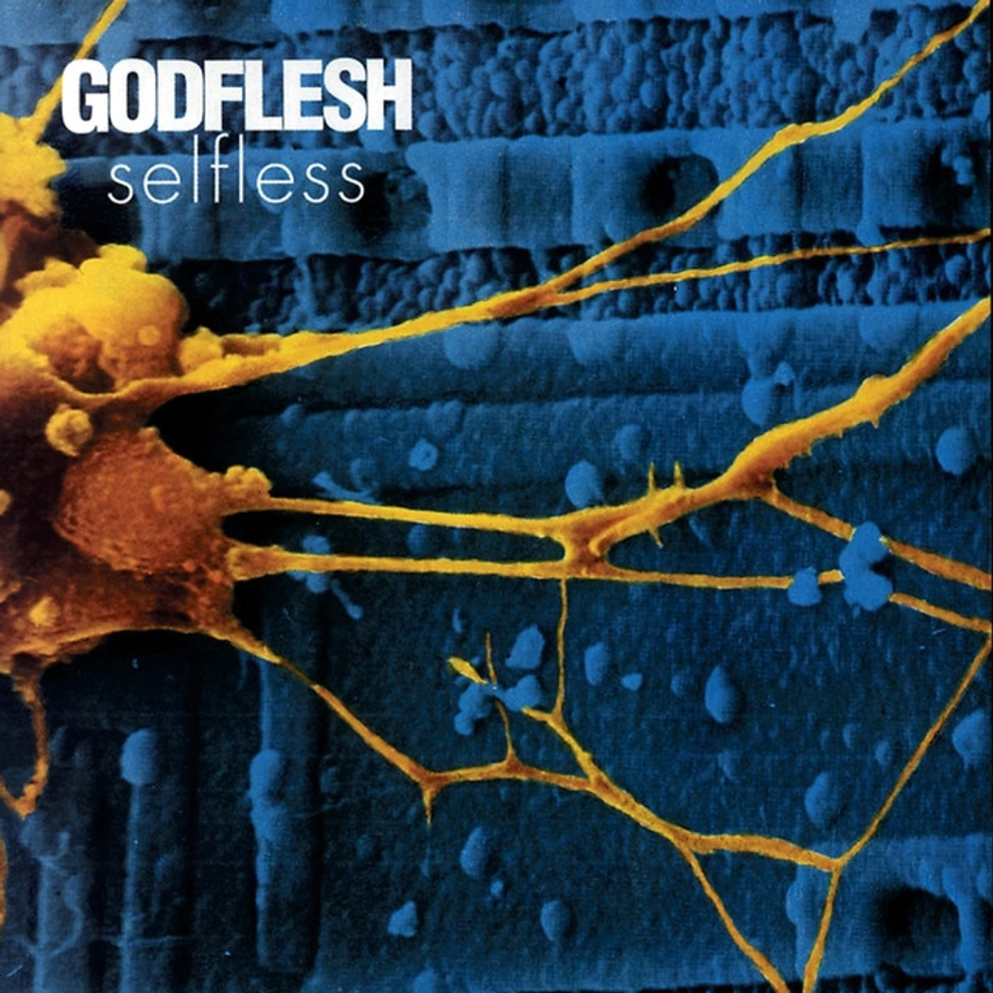 Godflesh Selfless Vinyl Record