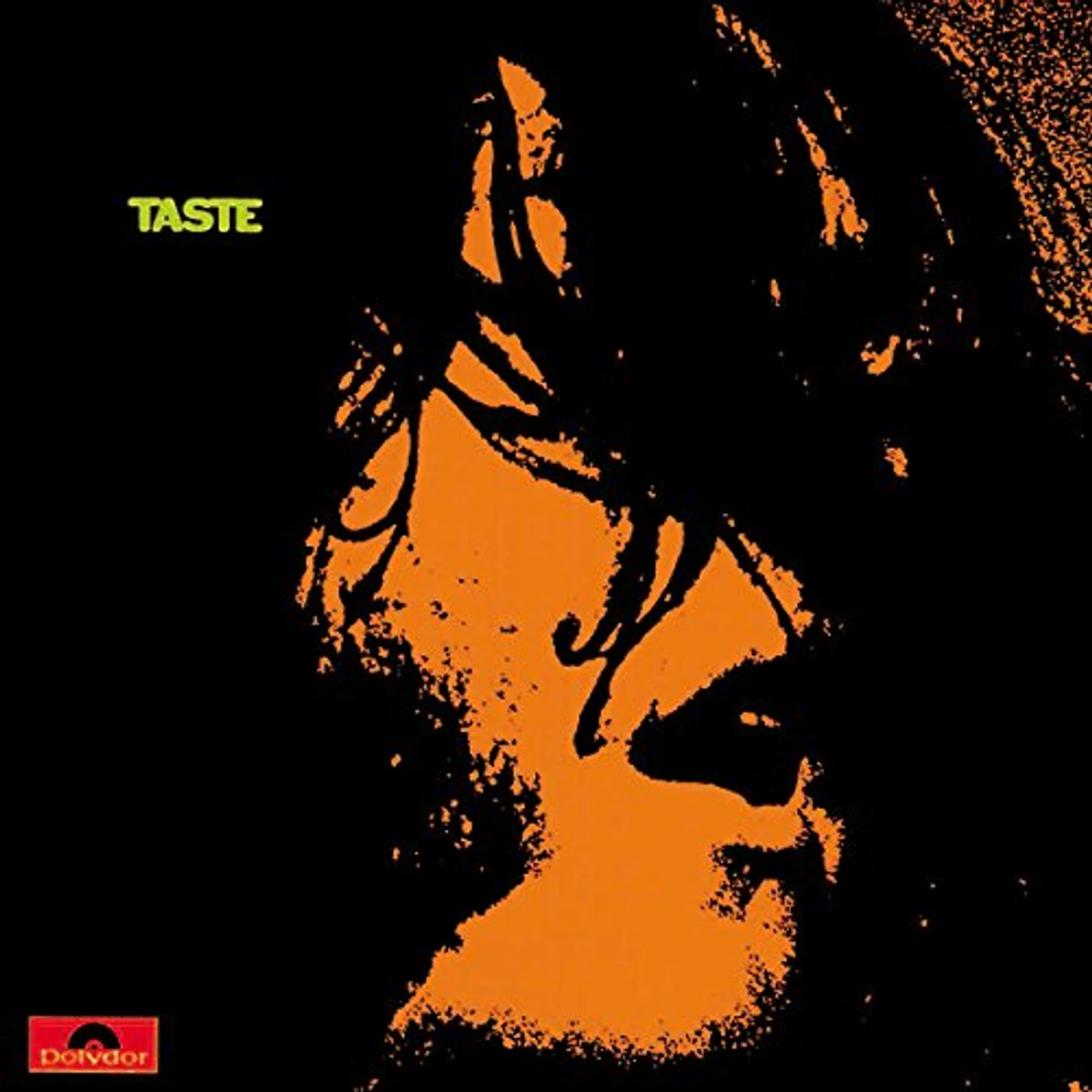 Taste Vinyl Record