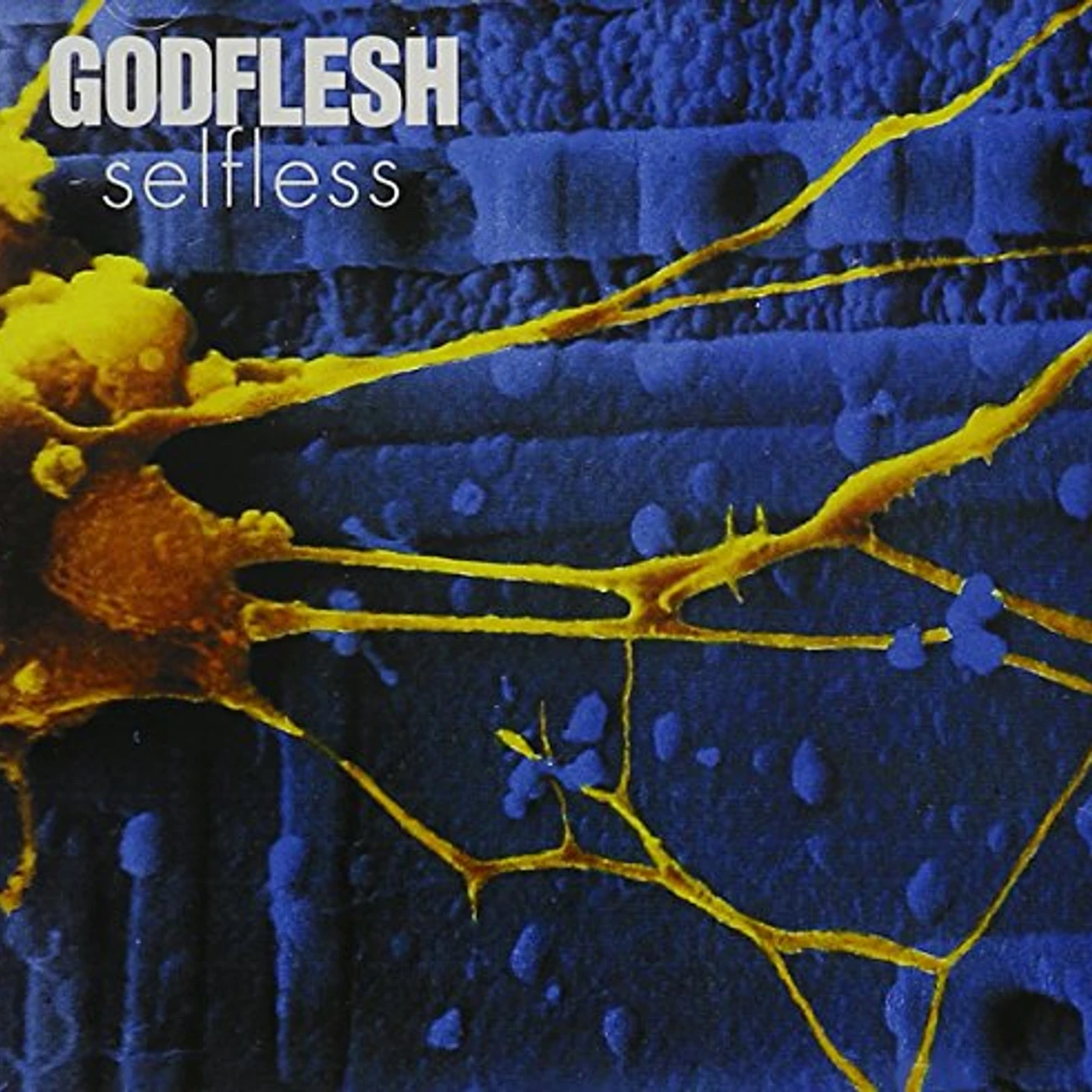 Godflesh SELFLESS CD