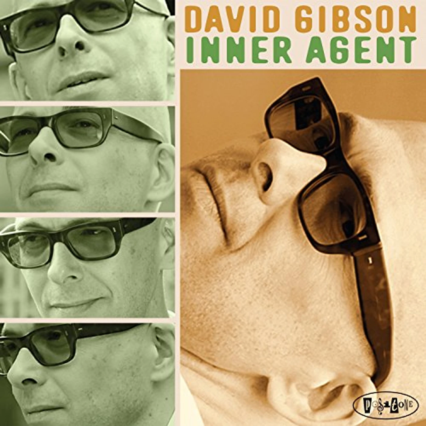 David Gibson INNER AGENT CD