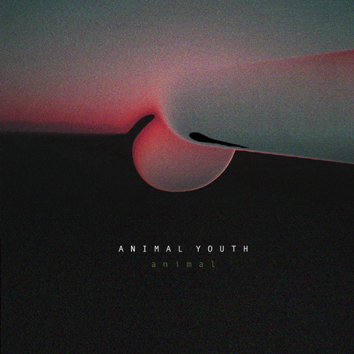 Animal Youth Animal Vinyl Record