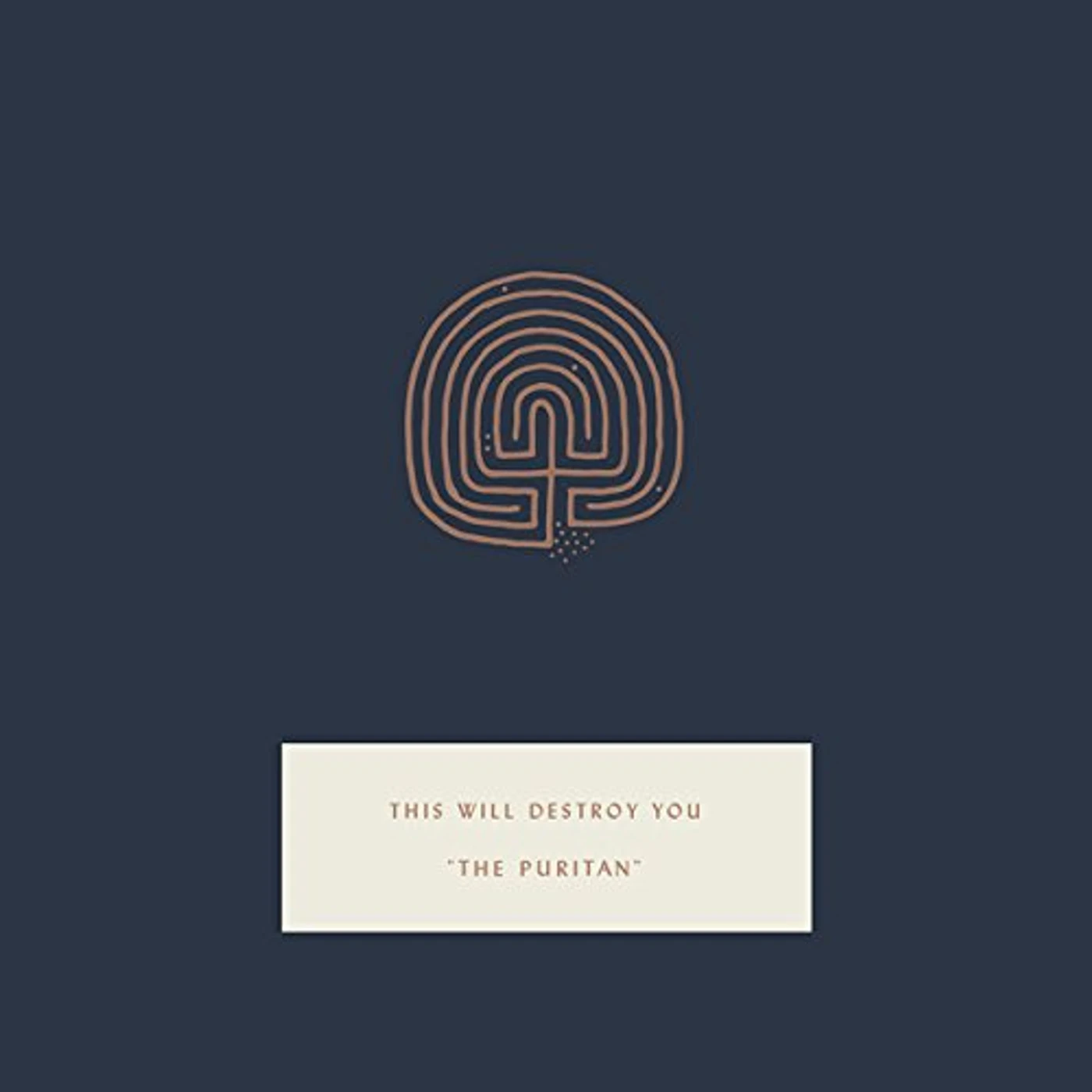This Will Destroy You PURITAN Vinyl Record