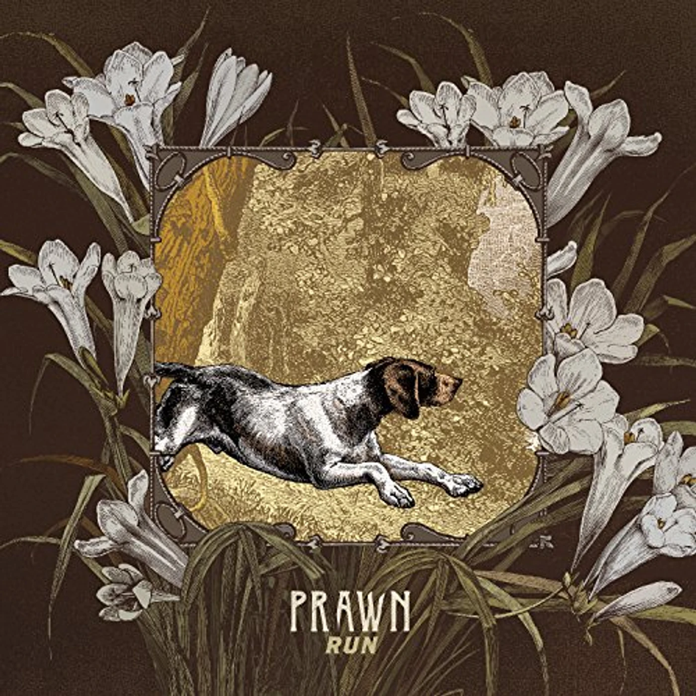 Prawn RUN CD