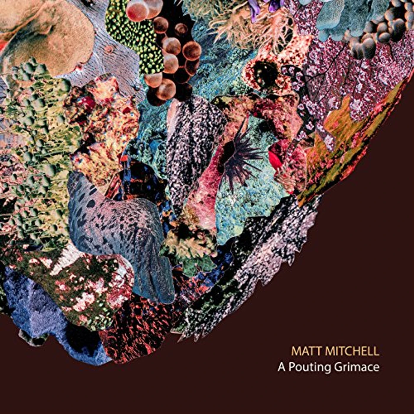 Matt Mitchell POUTING GRIMACE CD