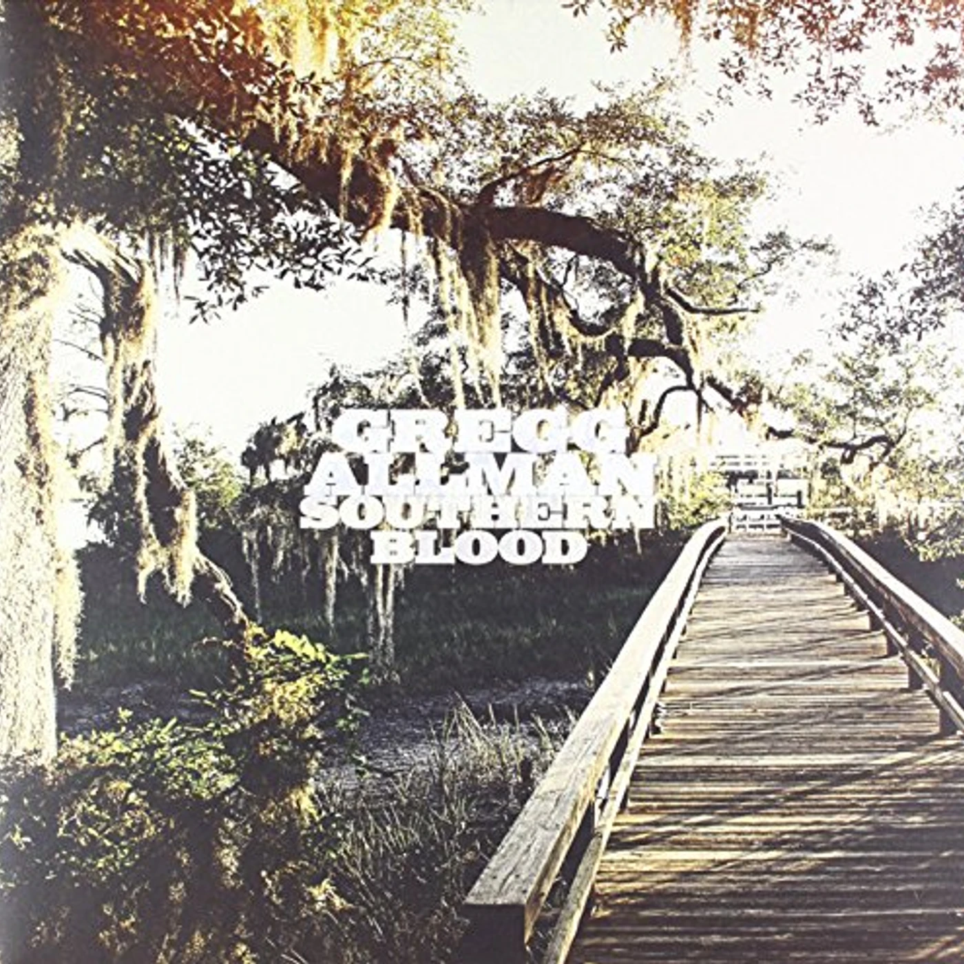 Gregg Allman Southern Blood Vinyl Record