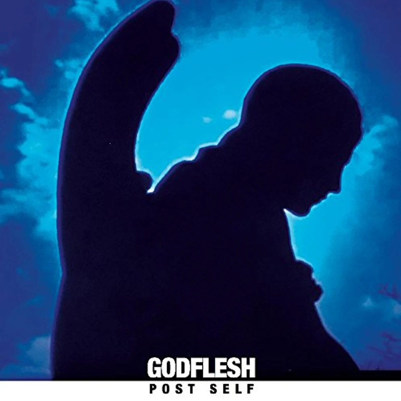 Godflesh POST SELF CD