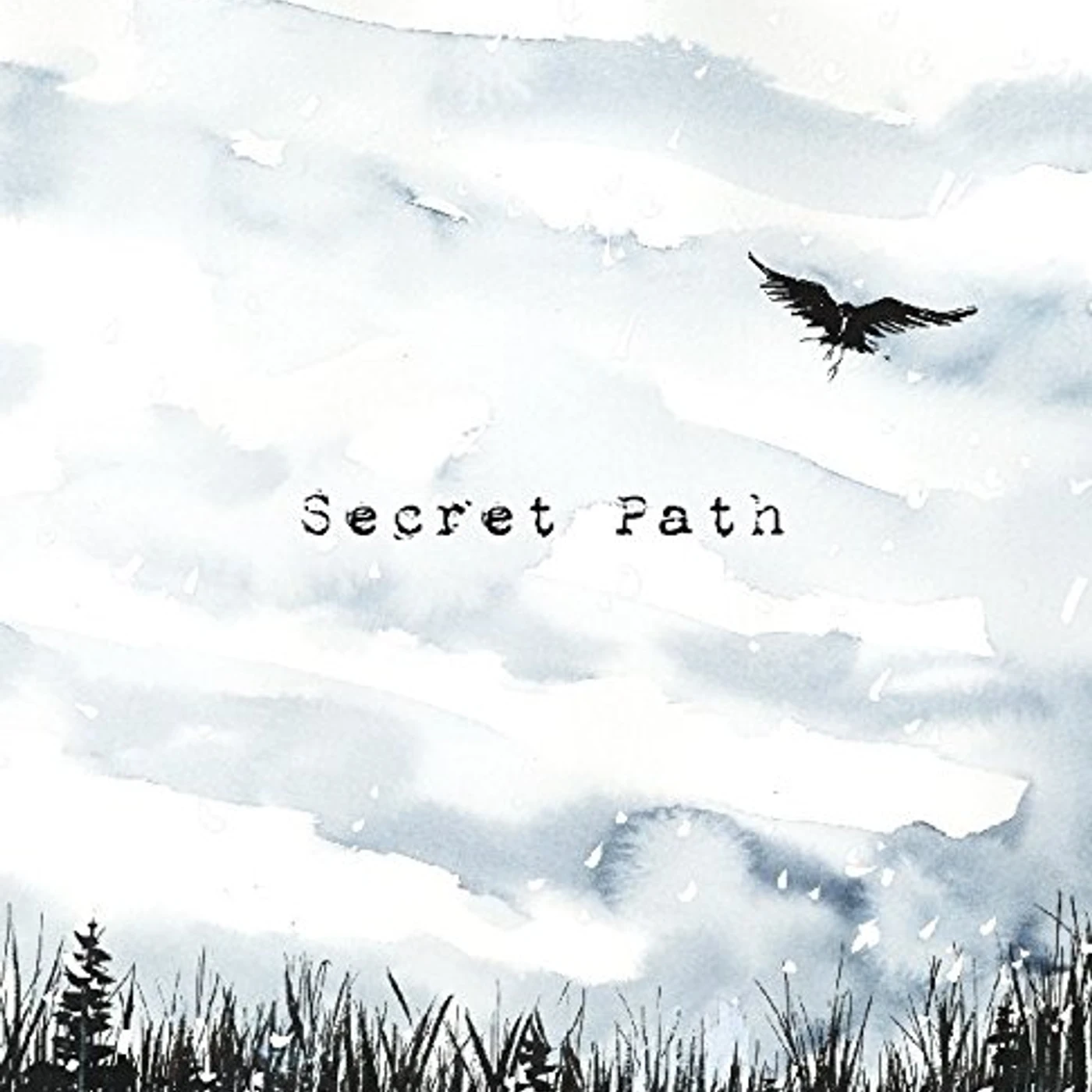 Gord Downie Secret Path Vinyl Record